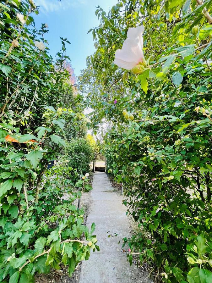 Babvirag Porta Fonyodliget Villa Buitenkant foto